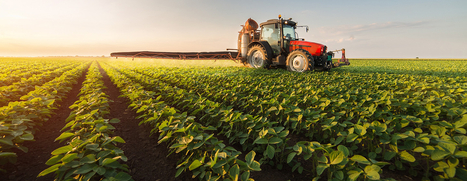 Le réseau des chambres d'agriculture depuis leur régionalisation - Cour des comptes | Pour innover en agriculture | Scoop.it