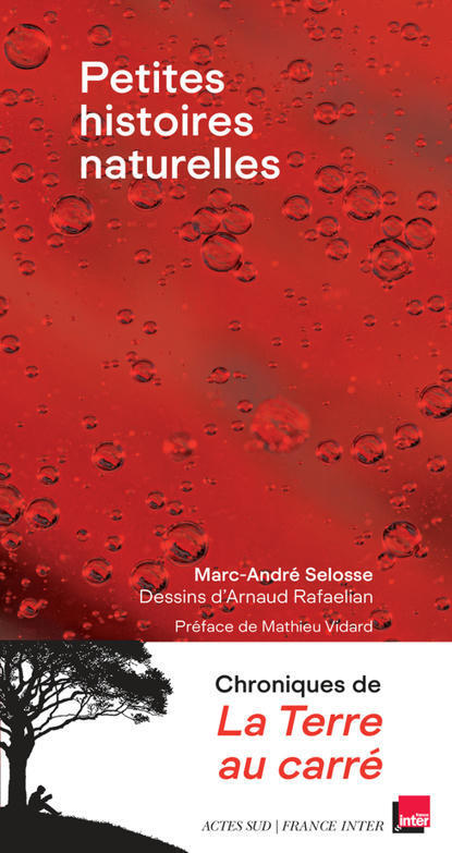 Marc-André SELOSSE : Petites histoires naturelles | Variétés entomologiques | Scoop.it