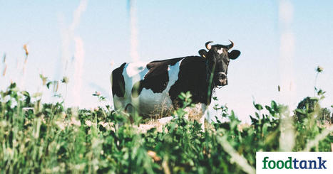 WORLD : New Report Reveals Organic Dairy Farming Stores Carbon, Reduces Greenhouse Gas Emissions | CIHEAM Press Review | Scoop.it