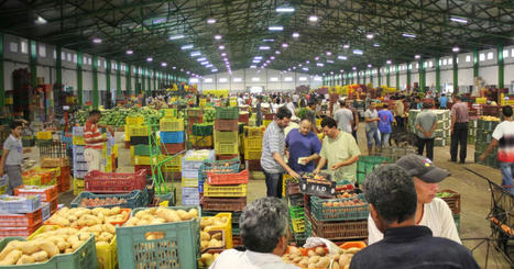 MAROC : Ramadan: en chiffres, l&rsquo;&eacute;volution des prix des fruits et des l&eacute;gumes au march&eacute; de gros de Casablanca&nbsp; | CIHEAM Press Review | Scoop.it