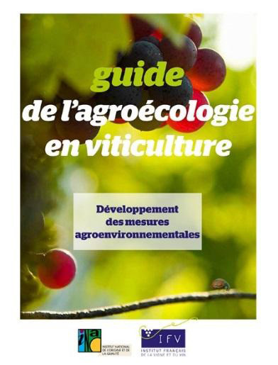Guide de l'agroécologie en viticulture -  5 thématiques  | Insect Archive | Scoop.it