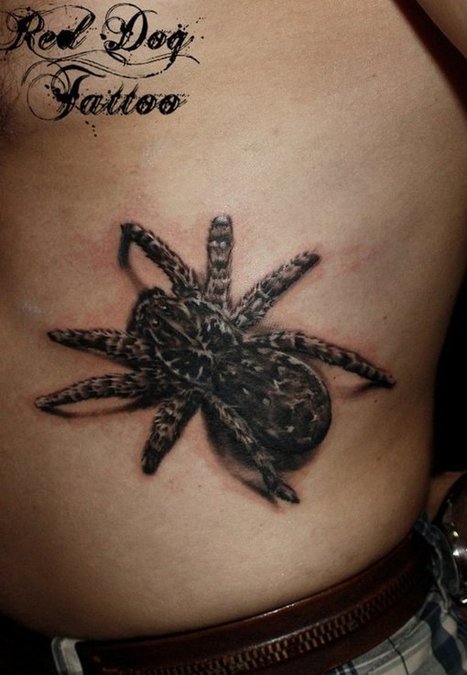 Spider Tattoo Ideas