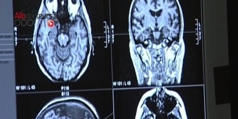 Incarner un marin en réalité virtuelle pour aider à dépister Alzheimer | Alzheimer, maladies neuro-dégénératives et gérontologie générale | Scoop.it