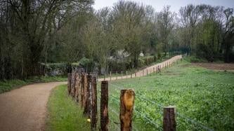 Comment prendre en compte les enjeux environnementaux, patrimoniaux et paysagers dans un projet d’aménagement cyclable ? | Urbanisme - Aménagement - SIG | Scoop.it