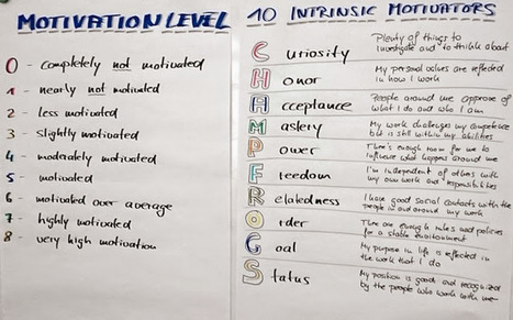 Advanced Moving Motivators sessions – don’t miss these 6 expert hints – OnTheAgilePath | Devops for Growth | Scoop.it