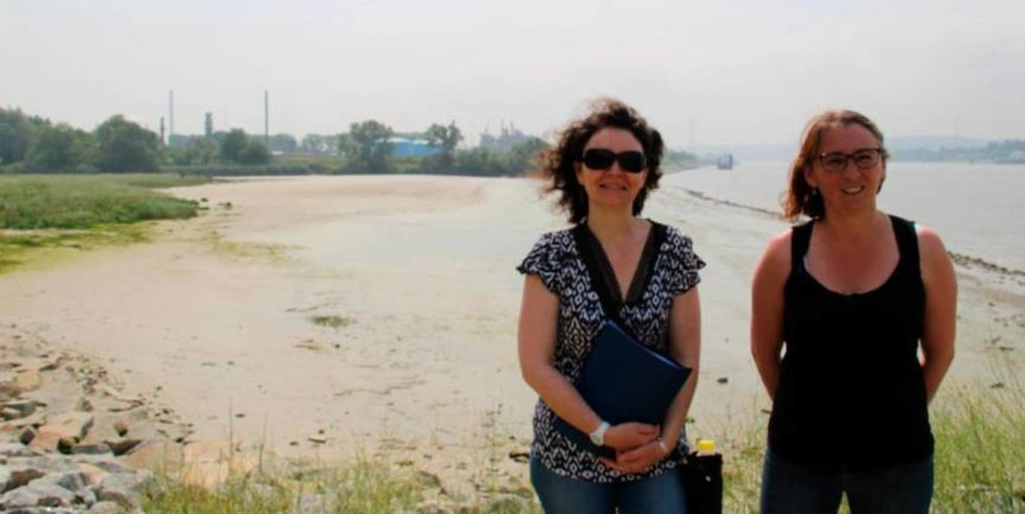 Environnement. HAROPA exp&eacute;rimente la rev&eacute;g&eacute;talisation de la Seine | Une semaine d'actu - Newsletter de veille de l'AURH | Scoop.it