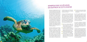 Kit p&eacute;dagogique lyc&eacute;e sur l&rsquo;Oc&eacute;an de demain et des m&eacute;tiers li&eacute;s &agrave; l&rsquo;Environnement maudfontenoyfondation.com | M&eacute;tiers et emploi de l'&eacute;conomie verte | Scoop.it