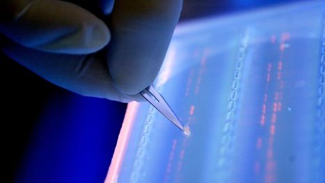 CRISPR Isn't Just for Gene Editing Anymore | Salud Publica | Scoop.it