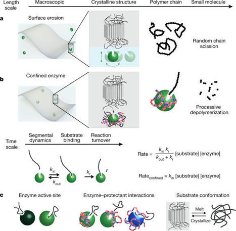 Near-complete depolymerization of polyesters with nano-dispersed enzymes | Global Sustainable Development Goals in Education | Scoop.it