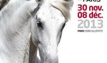 Salon du Cheval de Paris 2013: vers un record de fr&eacute;quentation ! | concertlive.fr | Salon du Cheval | Scoop.it