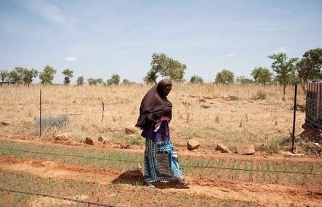 Africa, Asia to track climate change adaptation and development | Climate Change & DRR in East Africa | Scoop.it