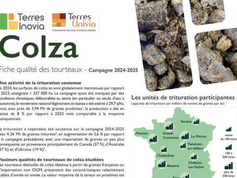 Qualit&eacute; des tourteaux de colza : r&eacute;sultats de la campagne 2024-2025 | ITERG - Veille sectorielle | Scoop.it