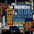 REDD in the news: 4-10 March 2013 | Ecosystèmes Tropicaux | Scoop.it