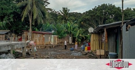 Mayotte, l’île flottante - Libération | Biodiversité | Scoop.it