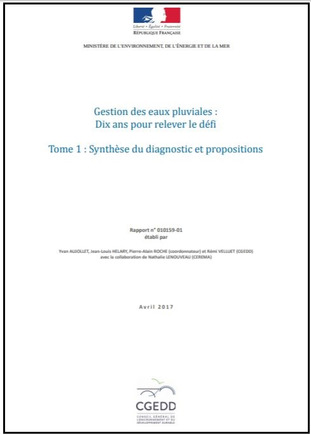 Gestion des eaux pluviales : dix ans pour relever le défi - Tome 1 : synthèse du diagnostic et propositions - Tome 2 : diagnostic détaillé | Doc [actu] - Le bulletin bibliographique des nouvelles ressources disponibles au centre de documentation de l’ADACL. | Scoop.it