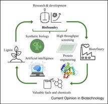 Building a lignin biofoundry: a review | Cin | RMH | Scoop.it