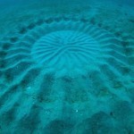 Mysterious Underwater ‘Crop Circles’ Discovered Off the Coast of Japan | Colossal | Kool Look | Scoop.it
