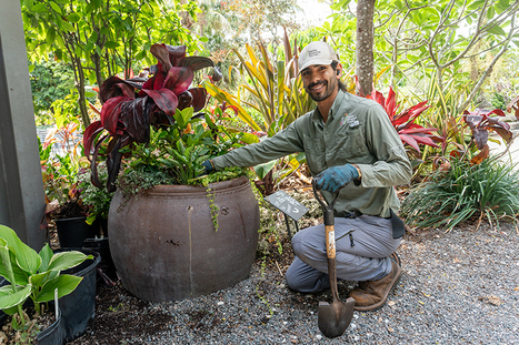 Dig into gardening - Fort Myers Florida Weekly | Industry 411 - Waste Management | Scoop.it