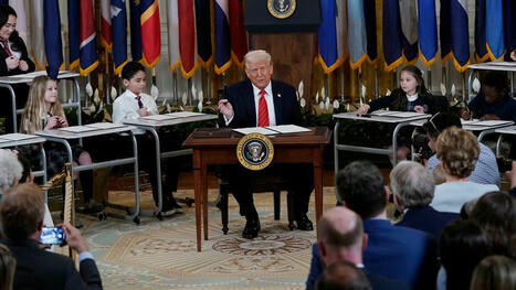 Trump’s Vivisection of the Department of Education | by Jessica Winter | NewYorker.com | Schools + Libraries + Museums + STEAM + Digital Media Literacy + Cyber Arts + Connected to Fiber Networks | Scoop.it