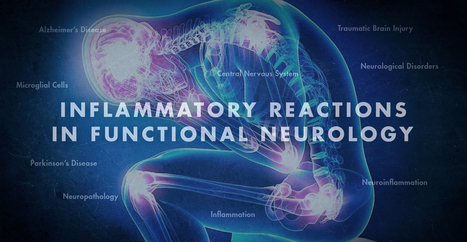 Inflammatory Reactions in Functional Neurology | El Paso, TX Chiropractor | Call: 915-850-0900 | Neuropathy "The Painful Enigma" | Scoop.it