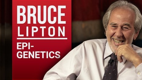 Bruce Lipton - Biology of Belief | Health Supreme | Scoop.it