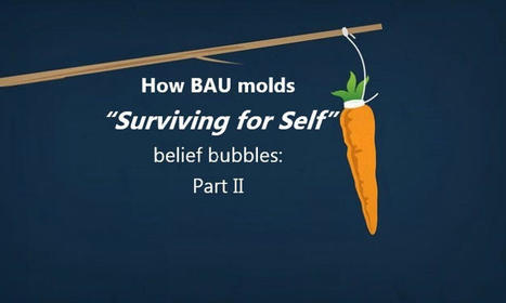 How Business-as-usual (BAU) molds "Surviving for Self"​ belief bubbles: Part II | Money News | Scoop.it