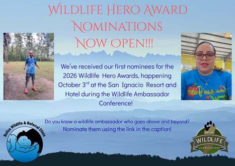 Wildlife Hero Award 2026 | Cayo Scoop!  The Ecology of Cayo Culture | Scoop.it