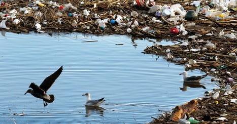 Fight brews over California measure to reduce plastic waste | Coastal Restoration | Scoop.it