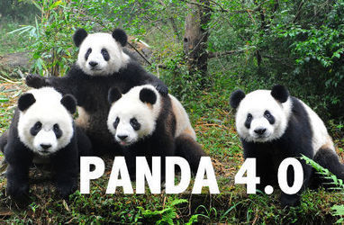 SEO Storm or Light Shower? Google’s Panda 4.0 Update | Public Relations & Social Marketing Insight | Scoop.it