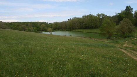 Mégabassines : comment la controversée loi Duplomb veut faciliter la construction de ces retenues d’eau si polémiques | Environnement - Développement durable - Climat | Scoop.it