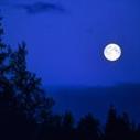 Ritual: Experience the Fullness of Life | CALM | Scoop.it