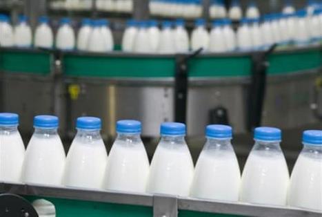 FrieslandCampina : Impression 3D d’aliments à base de produits laitiers | Lait de Normandie... et d'ailleurs | Scoop.it
