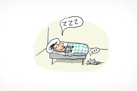 Pourquoi faut-il dormir ? | FLEursdeFLE | Scoop.it