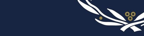 Roadmap for Change Update: The RHS Race, Ethnicity and Equality Report one year on. – | Race and diversity | Scoop.it