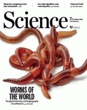 Global distribution of earthworm diversity - Science | Biodiversité | Scoop.it