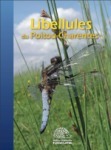 Libellules du Poitou-Charentes : Atlas de répartition illustré > Les fiches espèces | Insect Archive | Scoop.it