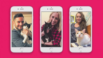 Orphaned Cats Find New Homes Using Tinder Dating App | A Marketing Mix | Scoop.it