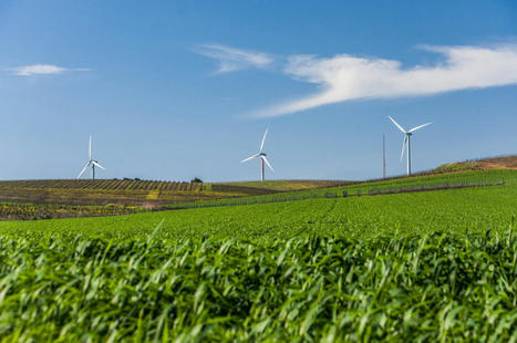 TURKEY: goes zero waste in agriculture | CIHEAM Press Review | Scoop.it