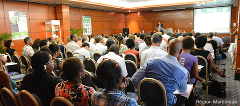 Un séminaire pour les plantes aromatiques et médicinales de Martinique | La Cabane aux Arômes | Scoop.it