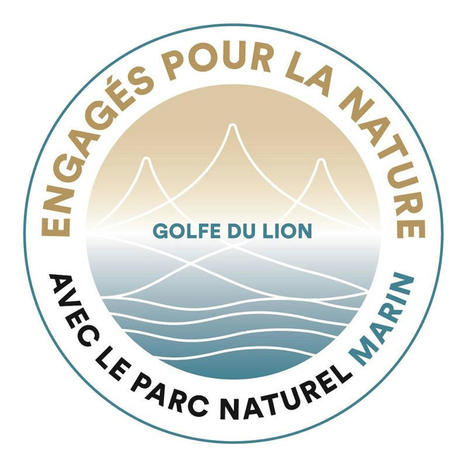 Les structures de kayak et paddle s’engagent aux côtés du Parc - Parc naturel marin Golfe du Lion | Biodiversité | Scoop.it