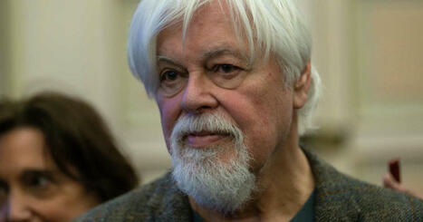 "J'espère que nous pourrons trouver une solution": le militant écologiste Paul Watson voit sa demande d'asile politique en France rejetée | Planète DDurable | Scoop.it