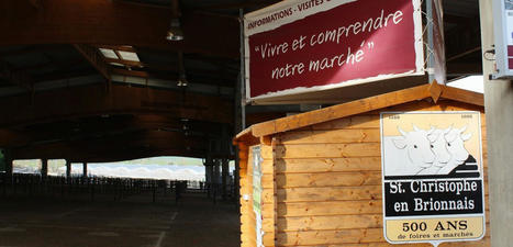 Saint-Christophe-en-Brionnais : près de 200 bovins au concours de bovins de boucherie | Actualité Bétail | Scoop.it