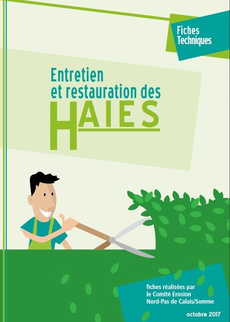 PDF entretien et restauration des haies - Comité Erosion | Insect Archive | Scoop.it