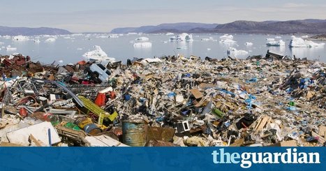 Earth has lost half of its wildlife in the past 40 years, says WWF | Stage 6 HSC Geography ( Current syllabus) | Scoop.it