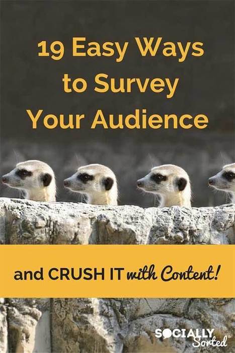 19 Easy Ways to Survey Your Potential Customers  | digital marketing strategy | Scoop.it