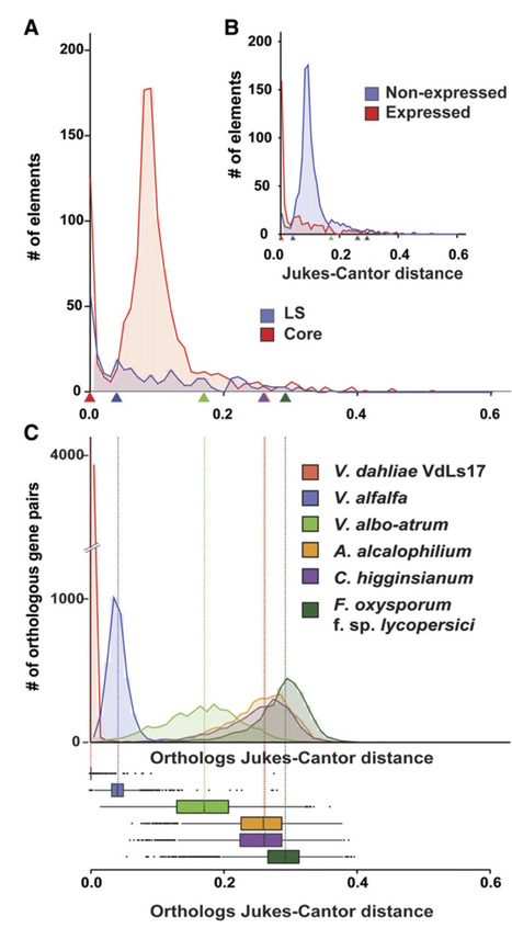 Genome Research: Transposons passively and actively contribute to evolution of the two-speed genome of a fungal pathogen (2016) | Plant Pathogenomics | Scoop.it