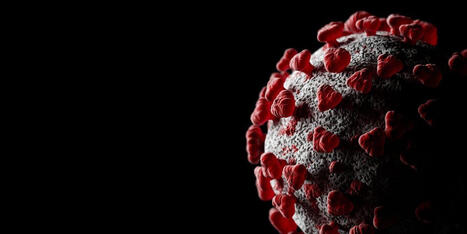 How to combat misinformation | Thorsten Koch, MA, PgDip | H&eacute;sitations Vaccinales: Observatoire HESIVAXs | Scoop.it