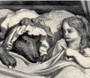 Maison de la littérature de jeunesse - animations scolaires, stages à Bruxelles | Pastoralisme Ours Loups Lynx | Scoop.it
