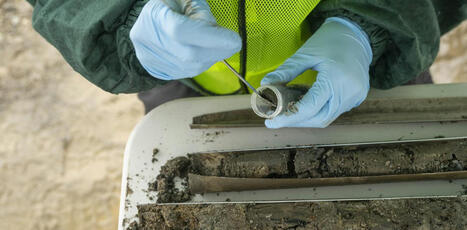 Sur les friches industrielles, des bact&eacute;ries ont appris &agrave; se nourrir de la&nbsp;pollution | Reconversion de friches | Scoop.it