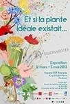 Et si la plante idéale existait | Les laboratoires du CNRS Occitanie Ouest dans la presse | Scoop.it
